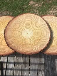 Set Of 15 11 Inch Wood Slab Centerpieces Wood Slabs Etsy Wood Centerpieces Wood Slices Wood Circles