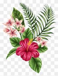 Svg Transparent Tropical Watercolor Flowers Leaves Tropical Flower Tattoo Clipart Flower Drawing Tropical Flower Tattoos Tropical Flowers Illustration