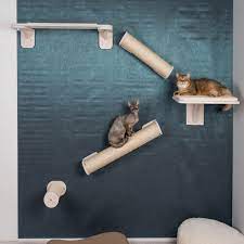katzensteg katzenzimmer katzen wand katzen
