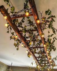 Ceiling Ladder Creeper Vines And Exposed Bulbs Dontstoplookingup Details Decorideas Hanging Ladder Vintage Ladder Home Diy
