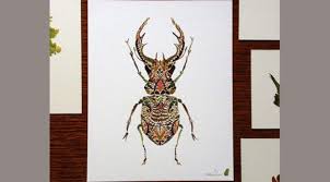 Buatlah pola gambar pada kertas gambar sesuai dengan tema yang sudah anda tentukan. Kolase Cantik Dari Kumpulan Daun Pakis Warna Warni Lifestyle Liputan6 Com