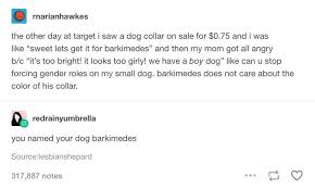 Pin On Dog Care Tips