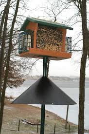 We did not find results for: 7 Top Rated Bird Feeder Squirrel Baffles Birds And Blooms