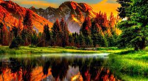 Tons of awesome nature 4k wallpapers to download for free. Kollidere Kong Lear Sygdom 4k Nature Picture Fearless Venom Nebu