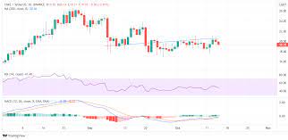 5 Best Dex Coins To Buy For High Profits October 2021 Week 2
