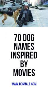 The highly trained dogs that gourd robin's nest, the home of thomas magnum, the hero of the hit 1980 tv series, magnum, p.i. 70 Dog Names Inspired By Movies Dog Names Funny Dog Names German Dog Names