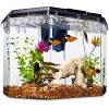Supplies needed for cleaning your betta tank. Https Encrypted Tbn0 Gstatic Com Images Q Tbn And9gcqgxgifnudow F7om3egf8xdvkcnzdegqrgpfzj9m9noyg25hko Usqp Cau