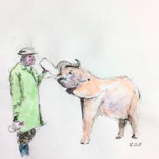 A Baby Elephant Who Lost His Mom Is Drinking Milk The Caretaker Feeds The Baby Elephant Every Three Hours Where Did Mother Baby Elephant Drink Milk Elephant