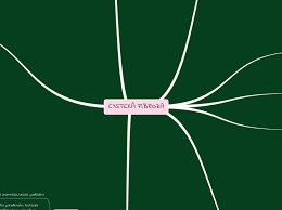 Cystická fibróza je onemocnění, při němž nefunguje transport solí přes takzvaný chloridový kanálek v buňkách v těle. Cysticka Fibroza Mind Map