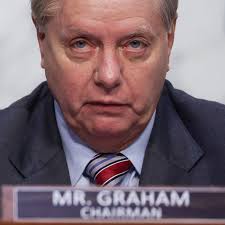 What did happen to lindsey graham? Lindsey Graham Pressured Georgia To Toss Legal Ballots