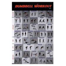 The routine targets the biceps, triceps and forearm muscles. Juvale Dumbbell Workout Poster Fitness Exercise Guide For Home Gym 20 X 30 In Target