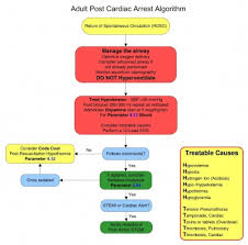 Every effort should be made to provide coronary reperfusion (pci), and interventions should be directed with this goal in mind. Adult Immediate Post Cardiac Arrest Care Protocopedia