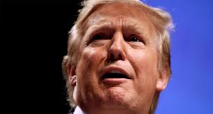 Resultado de imagen de Macleod Trump