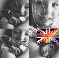 Hope this is ok to post. I'm doing some research before we get rats. We've  never owned rats before so any advice is appreciated please. Could I also  see your cages to