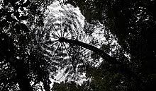 Asal usul bulu perindu / terkait dengan dunia misteri, banyak di antara kita tentu sudah tahu kabar tentang suatu benda bertuah berbentuk bulu yang dipercayai memiliki banyak kegunaan. Gunung Kinabalu Wikipedia Bahasa Melayu Ensiklopedia Bebas