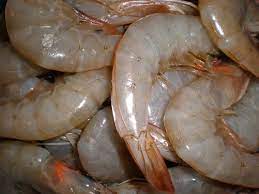 All fishes except squids are halal. Learn Information About Shrimps Halal Or Haram In Islam Frozen Shrimp Suppliers Frozen Shrimp Factory Indonesia Frozen Prawn Manufacturer Shrimps Price