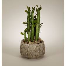 If your forge minecraft server is crashing whenever you connect, it's likely you have a ticking block entity. T C Floral Company Pencil Clay Cactus Plant In Pot Reviews Wayfair