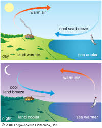 Land Breeze And Sea Breeze Diagram Yahoo Image Search Results Sea Breeze Commercial Pilot Training Educational News