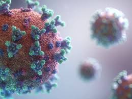 And with case numbers steadily rising in recent days some may have to considered. Fwimqz2idnrj0m