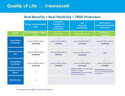 Maybe you would like to learn more about one of these? Quality Of Life Insurance Ppt Download