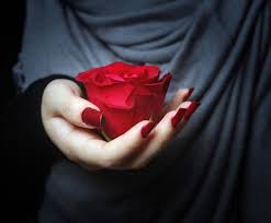 4 سبتمبر 2017 تاريخ التحديث: ØµÙˆØ± ÙŠØ¯ ØªØ­Ù…Ù„ ÙˆØ±Ø¯