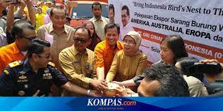 Peinture luxens en ligne : Tak Terimbas Corona Ekspor Sarang Burung Walet Sumut Ke China Tetap Tinggi Halaman All Kompas Com