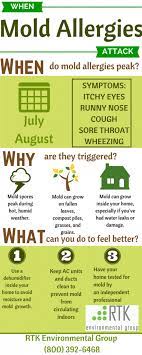 When Mold Allergies Attack Rtk Environmental Group