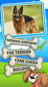 Any dog lover can tell you that canines are among the smartest animals on earth. Guess The Dog Breed Quiz Questions And Answers Pour Android Telechargez L Apk