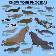 Pin By Jeszsl On Harbour Signage Fun Facts About Animals Animal Facts Endangered Animals