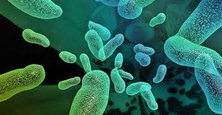 Après une période d'abstinence, des relations sexuelles répétées peuvent déclencher des inflammations. Autosondage Et Infections Urinaires