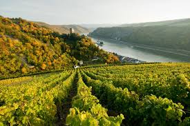 Immowelt.de has been visited by 100k+ users in the past month Aktivurlaub In Rheinland Pfalz Reisefuhrer Outdooractive Com