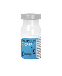 Image result for Ampicillin