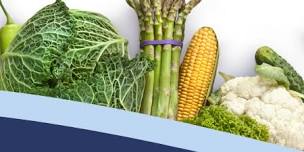 HealthConnect FreshStart – Session 2