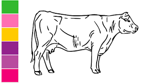 How To Draw A Cow Step By Step Very Easy For Kids Cow Sketch Drawings Learn To Draw