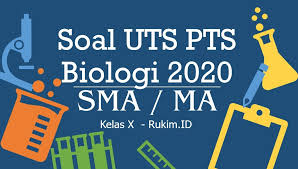 Kunci jawaban viva pakarindo kelas 11 semester 1 kunci jawabanku. Download Soal Biologi Pts Uts Kelas X Semester Genap 2020 Pdf