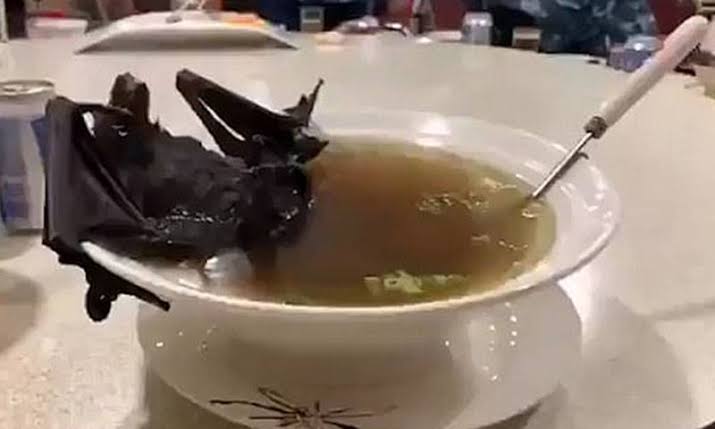 Resultado de imagem para china virus"