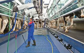 Log in of maak een account aan en mis niks meer van de sterren. Delaval Levert Meer Dan 500 Solidex Pro Zij Aan Zij Melkstallen Ugb
