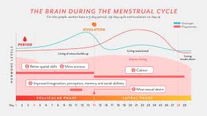How The Menstrual Cycle Changes Womens Brains For Better