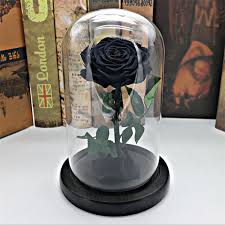 Began its journey in 1999 in london as a family owned events company supplying lifelong roses. Black Forever Rose Flower Preserved Immortal Fresh Rose In Glass Vase Cloche Wedding Decorations Unique Gifts Buy At The Price Of 79 66 In Aliexpress Com Imall Com