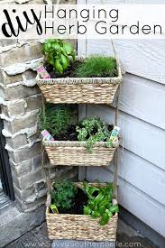 Diy Hanging Herb Garden Hanging Herb Garden Small Herb Gardens Apartment Herb Gardens