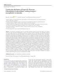 Image result for Eragrostis chapelieri