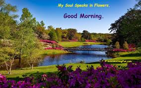 Good Morning With Lovely Flower Quotes Good Morning Fun