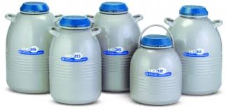  Taylor Wharton Hc35 High Capacity Cryostorage System Capaciity 35l Liquid Nitrogen Cryogenic Storage Systems Fisher Scientific