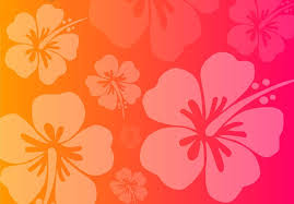 Check spelling or type a new query. Tropical Flowers Desktop Wallpaper Tumblr Get Images