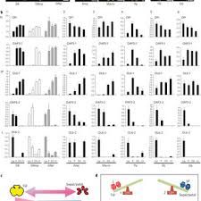 Browse from 52 free and working most of our coupon codes are tested and verified by our editors, be sure to check all of our royer's flowers & gifts promotion code so that you can. Pdf Model For Perianth Formation In Orchids