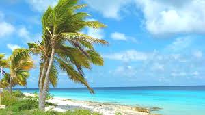 Pink Beach Bonaire Bonaire Caribbean Sea Caribbean