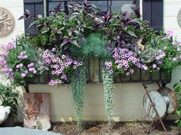 Empty water bottles are a lightweight option. World Is More Beautiful With Plants In Window Boxes