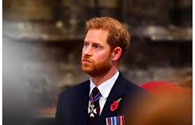 Príncipe harry volta ao canadá para encontrar mulher e filho após acordo com família real. Principe Harry Perde Seu Titulo Mas Qual Sobrenome Ele Usara Mundo Diario De Pernambuco