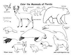 Florida department of state phone: Florida Animal Habitats Animal Coloring Pages Animal Activities For Kids