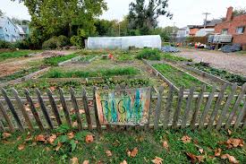 Urban Farms Fuel Idealism Profits Not So Much The Salt Npr